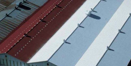 Professional Roof Coating Services